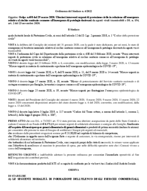 Ordinanza buoni spesa8